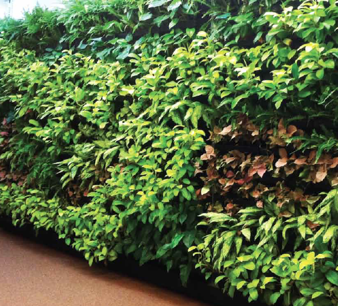 PlanterCell® 170 - Planter box to build green walls